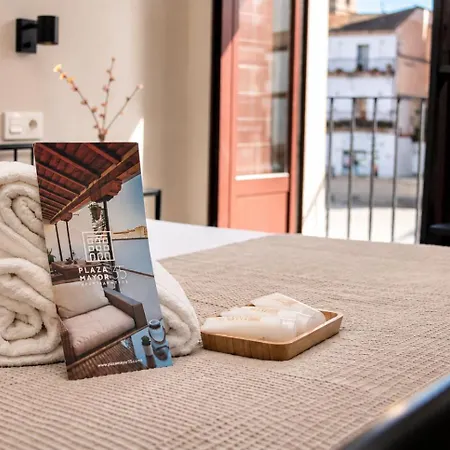 Plaza Mayor 35 Apartment Caceres